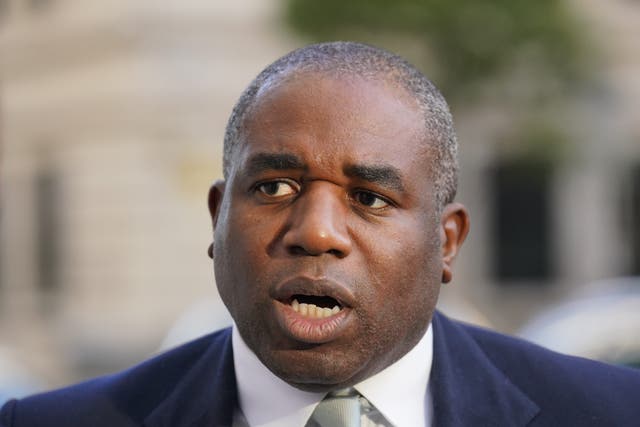 <p>Shadow foreign secretary David Lammy (Jonathan Brady/PA)</p>