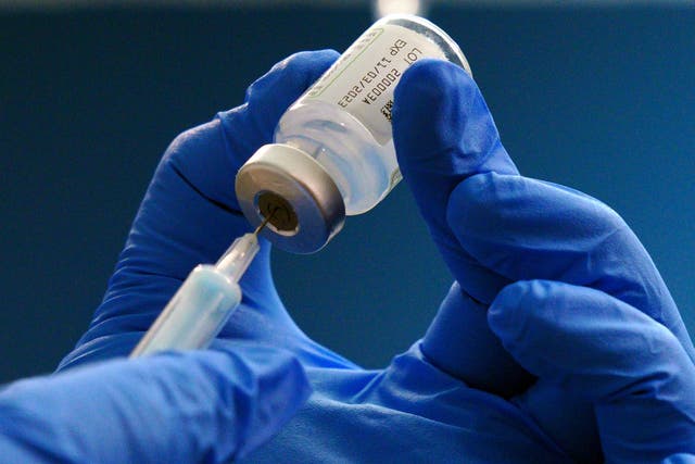 <p>The inoculation uses antigens – a substance that triggers an immune response in the body – found in eight different coronaviruses, including those circulating in bats</p>
