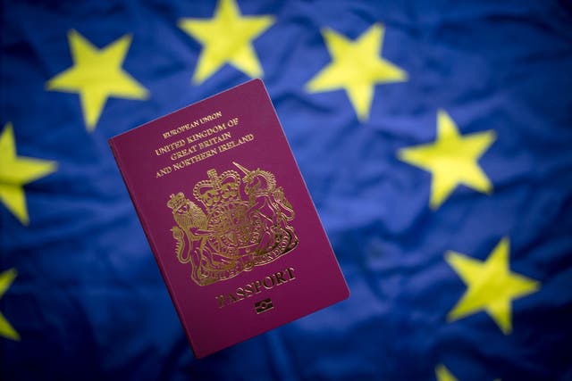 <p>The denial of such opportunities is something for which those who voted for Brexit have only themselves to blame </p>