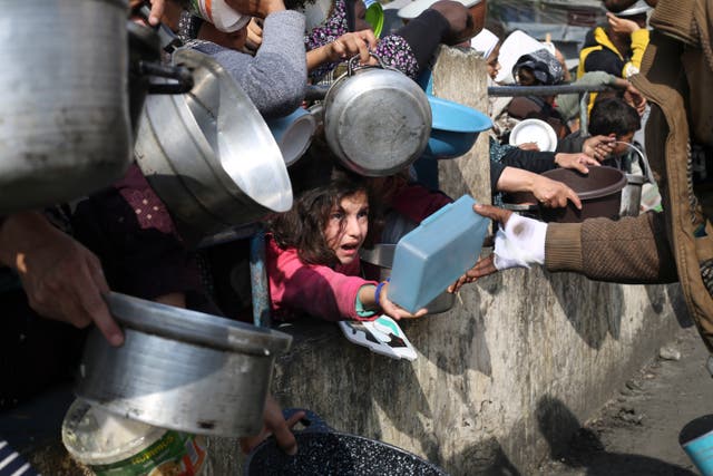<p>Palestinians line up for food aid in Rafah </p>