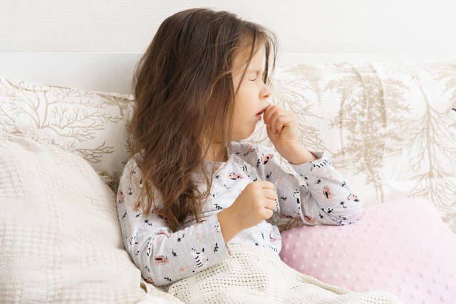 <p>Whooping cough is a cyclical disease that peaks every three to five years, with the last cyclical increase occurring in 2016</p>