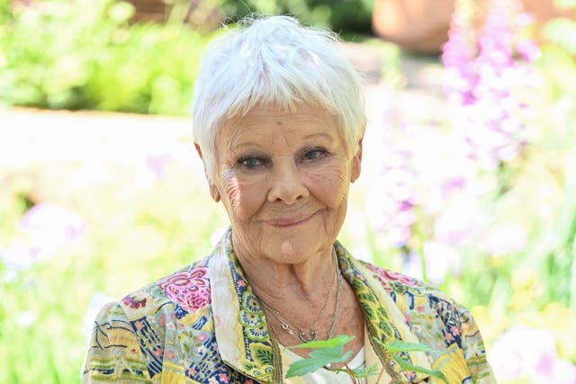 <p>Dame Judi Dench implied she might be retired from film acting</p>
