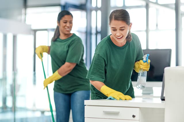 <p>Clean machine: The coming years will see Reckitt continue to develop its offering to commercial clients and play a key role in strengthening businesses</p>