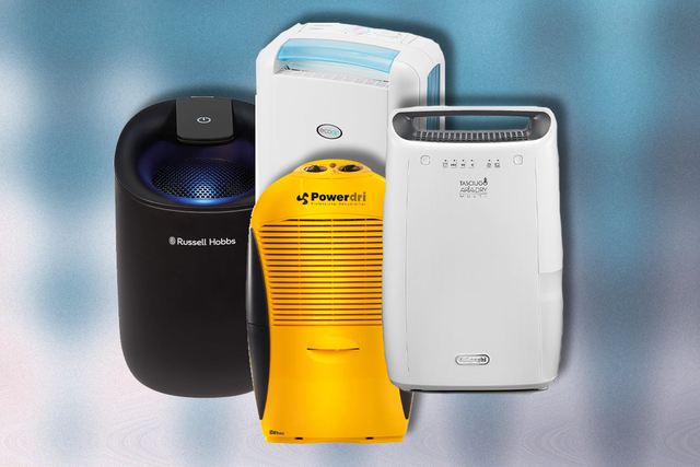 <p>From small and quiet to big and mighty, we put these damp-busters to the test </p>